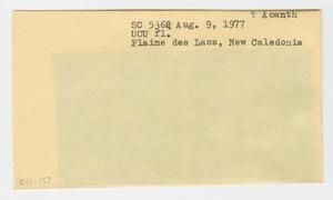 [Acanthaceae in New Caledonia, envelope IE41-157]
