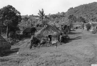 reeds, building, bamboo tubes, houses, photography, ph