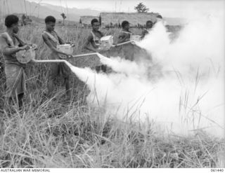 DUMPU, NEW GUINEA. 1943-12-06. NATIVES EMPLOYED BY THE 18TH AUSTRALIAN ANTI-MALARIAL CONTROL UNIT DUSTING AN AREA WITH DDT POWDER IN AN EFFORT TO KILL THE MALARIAL MOSQUIO. THIS METHOD IS USED ON ..