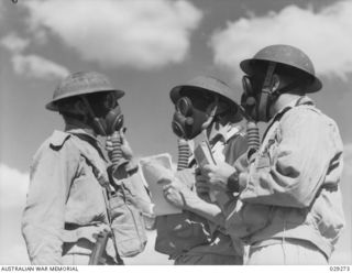 TOWNSVILLE, QLD. 1942-11. A "GUINEA PIG" IN THE GAS SHELL DEMONSTRATION SHOOT BY 5TH FIELD REGIMENT, ROYAL AUSTRALIAN ARTILLERY BEING INSPECTED AFTER HAVING BEEN EXPOSED TO THE EFFECTS OF GAS ..