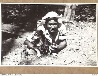 DREGER HARBOUR, NEW GUINEA. 1943-12-06. PRIVATE R.C. JONES OF ARKANSAS, USA AND OF THE 870TH UNITED STATES AVIATION ENGINEER BATTALION PROUDLY DISPLAYS "MAGGIE", THE UNIT MASCOT AND HER NEW BORN ..