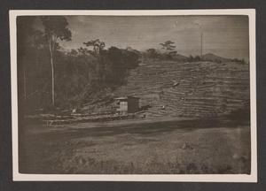 [Rear Seats of Open Air Theatre]