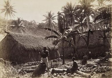 Scene at Ovalau