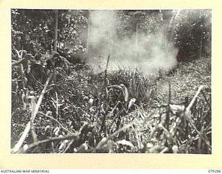 MELKONG RIVER, NEW BRITAIN. 1945-02-20. NO.2 GUN, 28TH BATTERY, 2/14TH FIELD REGIMENT, FIRING ACROSS HENRY REID BAY INTO THE WAITAVELO PLANTATION WHERE THE ENEMY ARE ENTRENCHED