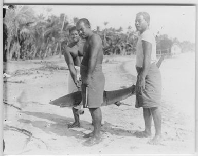 "3 men on the beach wear up a shark from the water. Clothing. Clothes. : A series with a photon. 4352: 1-7. See also photon. photon 4349-4351. "