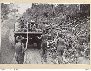 BOUGAINVILLE. 1945-05-02. SIGNALMEN OF 4 LINE SECTION, B CORPS SIGNALS LAYING SIGNAL WIRE ALONG THE MOTUPENA POINT - TOKO ROAD ABOUT A MILE AND A HALF NORTH OF OKO. THE LINE WILL FORM PART OF THE ..