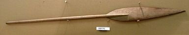paddle