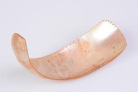 Kagylókanál