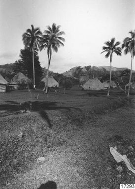 stone building, palm trees, trees, village, lawn, house, hut, shrubs, people, forest, photography, stenph