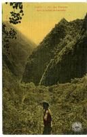 Tahiti - Pic des Français dans la Vallée de Fachoda