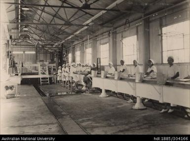 Preparation room showing Gianca machines, Pineapple Cannery