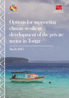 Options for Supporting Climate-resilient Development of the Private sector in Tonga - March 2023