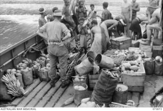 BUA, NEW GUINEA. 1944-05-12. NATIVES LOAD A BARGE WITH PRODUCE FROM NATIVE GARDENS. THE BARGE, CHARTERED FROM LAE BY THE AUSTRALIAN ARMY SERVICE CORPS, TRANSPORTS FRUIT AND VEGETABLES WEEKLY TO THE ..