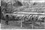 Putting bamboo poles across new thatch