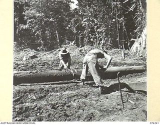 LAE, NEW GUINEA. 1944-09-27. PERSONNEL OF THE 43RD FIELD ORDNANCE DEPOT CUTTING A LOG INTO LENGTHS TO PERMIT HANDLING ON THE BENCH AT THE UNIT SAWMILL