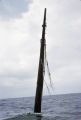 Federated States of Micronesia, mast of sunken WWII ship in Chuuk State