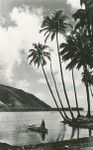 An outrigger canoe in Tahiti