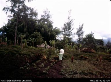 Person standing in the garden