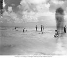 Scientists collecting fish after poison was spread in the reef area, probably near Uku Island, 1947