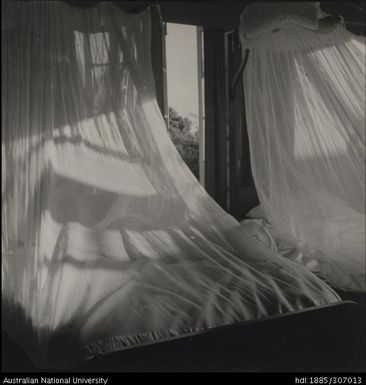 Mosquito net over bed