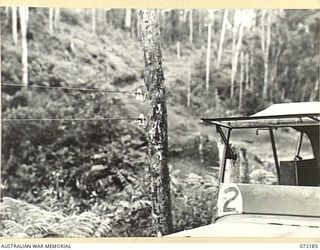 PORT MORESBY - DOBODURA, NEW GUINEA. 1944-04-12. A SECTION OF THE TELEPHONE LINE CONTROLLED BY THE 18TH LINES OF COMMUNICATION SIGNALS BETWEEN NEWTON'S DUMP AND OWERS' CORNER. THE LINE SHOWN IS A ..