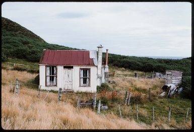 [White and brown corrugated iron cabin - Otago Peninsula]