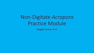 Non-Digitate Acropora pratice module