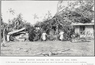 Mission Station Damaged by the Gale At Apia, Samoa