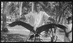 Man expanding a frigate bird's wings