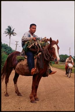 Man on a horse,Tonga