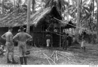 1942-09-09. PAPUAN NATIVES BUILDING HUTS FOR AUSTRALIAN OFFICERS. PALM LEAVES ARE USED FOR ROOFING AND SAGO BARK FOR WALLS. THE NATIVES SCORN THE USE OF NAILS AND WIRE OR OTHER MODERN ACCESSORIES ..