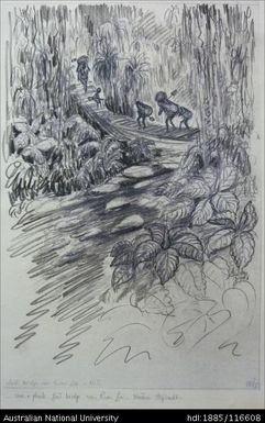 vine and plank foot-bridge over River Lai - Western Highlands