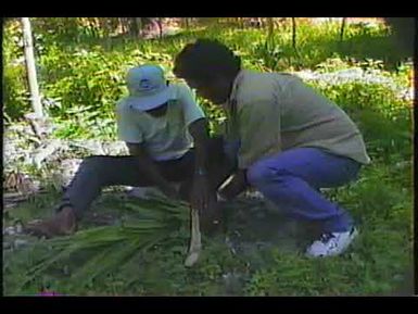 How to Prepare Pandanus Fruits