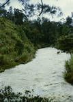 Laiagam river, Western Highlands, 1960?