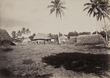 Tongan Village