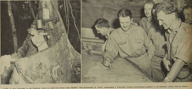 New Zealand airmen at bases in the South Pacific