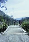 Bridge of log bearers and planks on a pioneer road, Western Highlands, May 1963