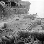 Beached canoes, sea latrine, pigs, dried coconut husks.