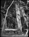 Sculptures of ancestral spirits, with sacrificial altar for pigs beside