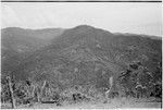 Bismarck Range mountains, garden clearings seen from Tsembaga