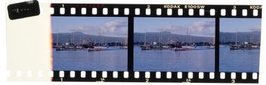 South Pacific Festival of the Arts, Apia, 1996. Va'a in Apia harbour