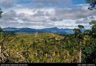 Okapa road - 1 1/2 mile to Orona (right of road)