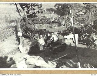 FINISTERRE RANGES, NEW GUINEA. 1944-01-23. PERSONNEL OF NO. 7 BATTERY, 2/4TH FIELD REGIMENT POUNDING JAPANESE POSITIONS WITH 25 POUNDERS IN THE LAKES AREA