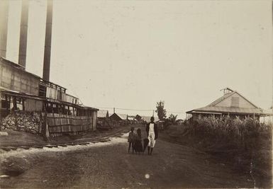 Street at Nausori