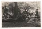 Women and girls making thatch, Arawe, New Britain, c1945