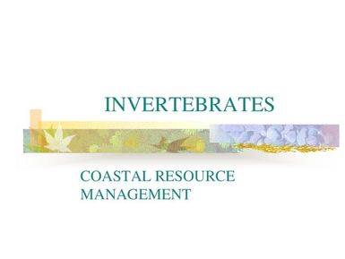 Invertebrates - Coastal resource management