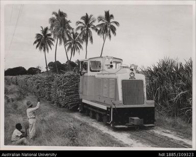 Diesel locomotive pulling cane on main line near Nandi