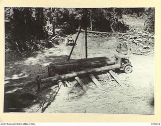 TOROKINA AREA, BOUGAINVILLE ISLAND. 1945-02-10. SAPPER E. HAYNES, NO 3 PLATOON 2/2ND FORESTRY COMPANY USING A CATERPILLAR TRACTOR TO LOAD LARGE LOGS ON TO A TIMBER JINKER