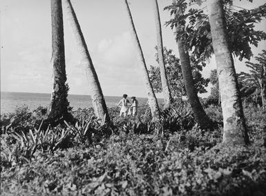 [View between palm trees of two women]