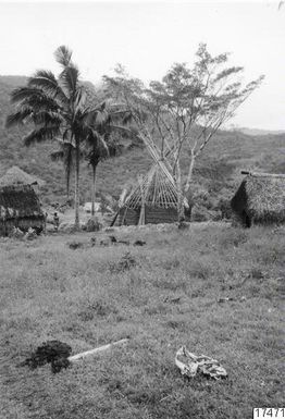 ["hus, skog, palm, landskap, fotografi, photograph"]